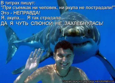 И снова котоматрицы И снова котоматрицы
