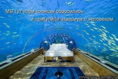 И снова котоматрицы И снова котоматрицы