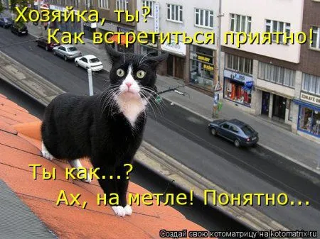 И снова котоматрицы И снова котоматрицы
