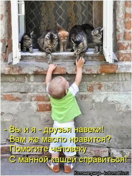 И снова котоматрицы И снова котоматрицы