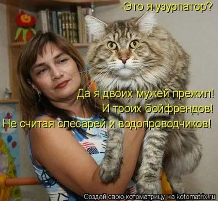 И снова котоматрицы И снова котоматрицы