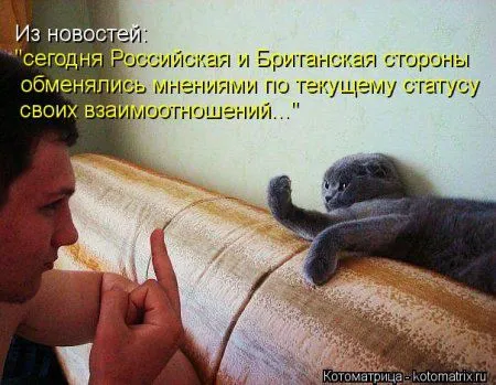 И снова котоматрицы И снова котоматрицы