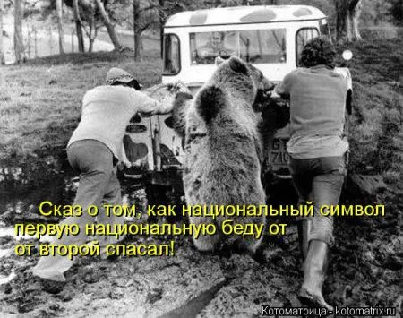 И снова котоматрицы И снова котоматрицы