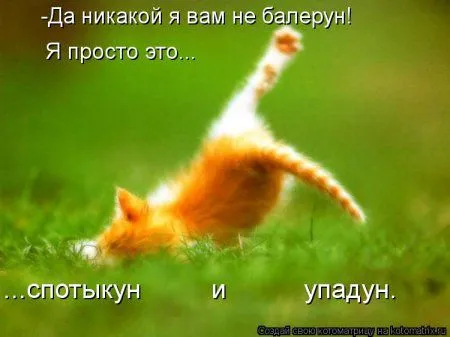И снова котоматрицы И снова котоматрицы
