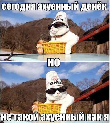 Фотоприколов много не бывает! Фотоприколов много не бывает!