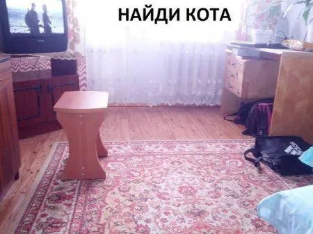 Фотоприколов много не бывает! Фотоприколов много не бывает!