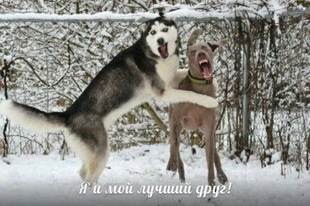 Фотоприколов много не бывает! Фотоприколов много не бывает!