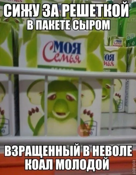 Фотоприколов много не бывает! Фотоприколов много не бывает!