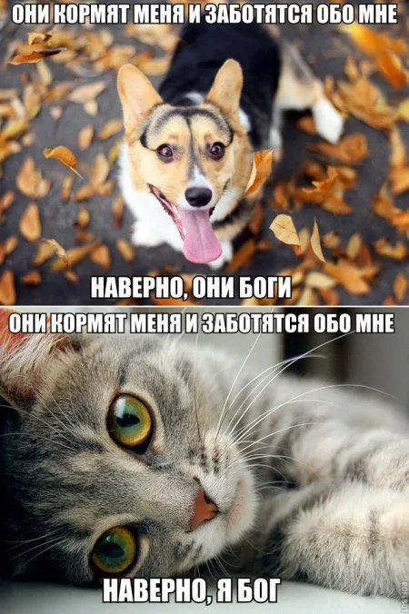 Фотоприколов много не бывает! Фотоприколов много не бывает!