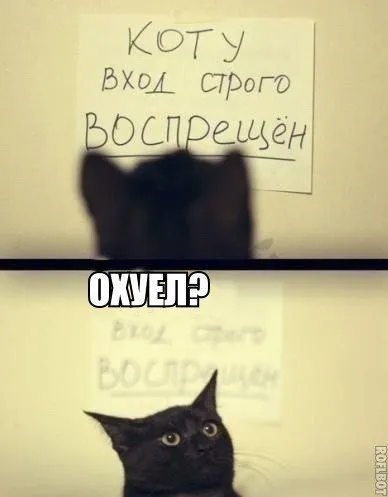 Фотоприколов много не бывает! Фотоприколов много не бывает!