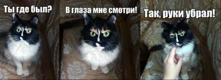 Фотоприколов много не бывает! Фотоприколов много не бывает!