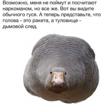 Фотоприколов много не бывает! Фотоприколов много не бывает!