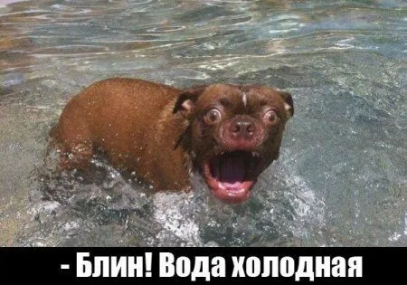 Фотоприколов много не бывает! Фотоприколов много не бывает!