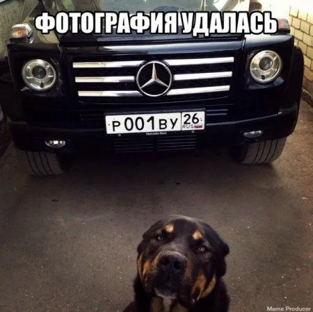Фотоприколов много не бывает! Фотоприколов много не бывает!