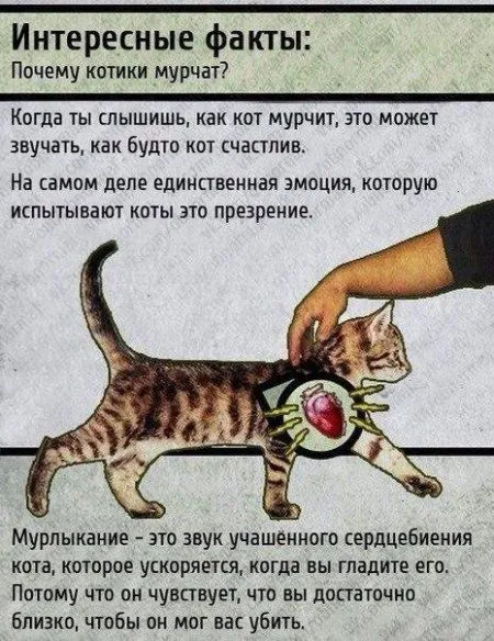 Кто то посмотрит ночью, остальные с утреца посмеются Кто то посмотрит ночью, остальные с утреца посмеются