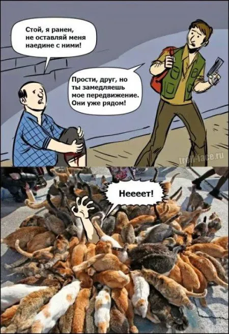 Кто то посмотрит ночью, остальные с утреца посмеются Кто то посмотрит ночью, остальные с утреца посмеются
