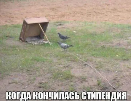 Кто то посмотрит ночью, остальные с утреца посмеются