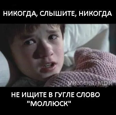 Кто то посмотрит ночью, остальные с утреца посмеются Кто то посмотрит ночью, остальные с утреца посмеются