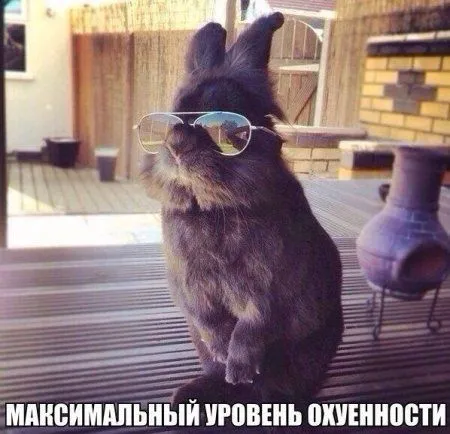 Приколы и фразы, позитив зашкаливает