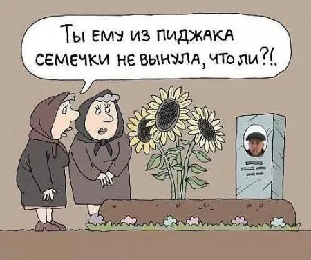 Приколы и фразы, позитив зашкаливает