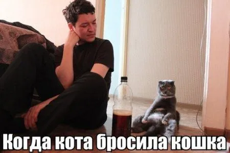 Приколы и фразы, позитив зашкаливает