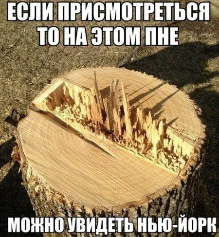 Приколы и фразы, позитив зашкаливает