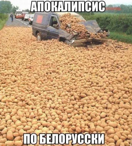 Приколы и фразы, позитив зашкаливает