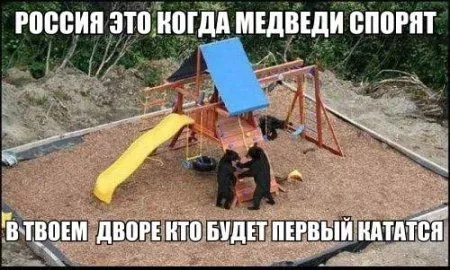 Приколы и фразы, позитив зашкаливает