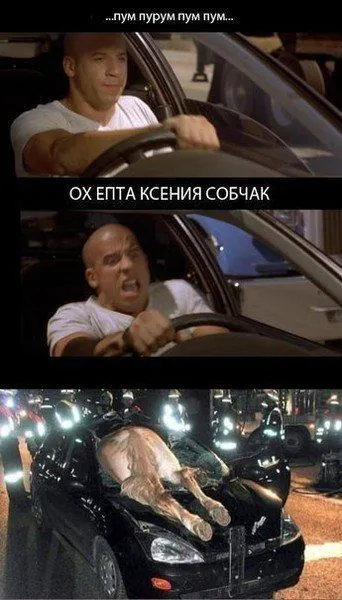 Приколы и фразы, позитив зашкаливает