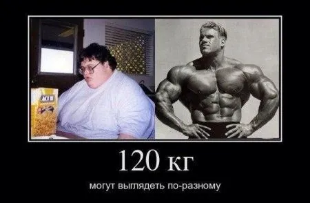 Неполиткорректные демотиваторы Неполиткорректные демотиваторы