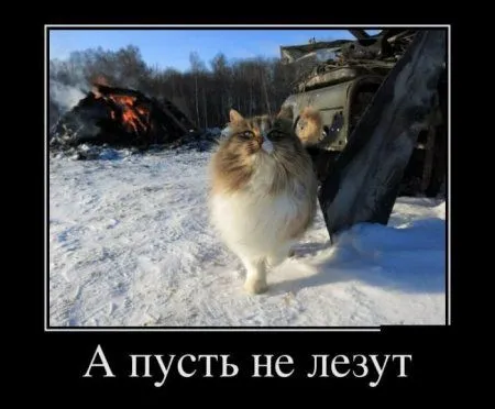 Неполиткорректные демотиваторы Неполиткорректные демотиваторы