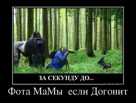 Ну совсем свежие демотиваторы Ну совсем свежие демотиваторы