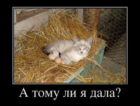 Демотиваторы, твой настрой на позитив Демотиваторы, твой настрой на позитив