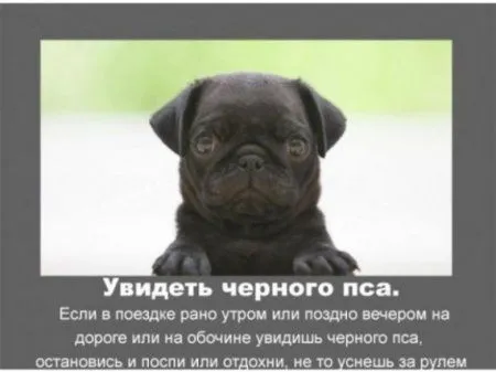 Автомобильные приметы Автомобильные приметы
