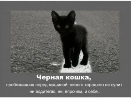 Автомобильные приметы Автомобильные приметы