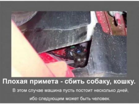 Автомобильные приметы Автомобильные приметы