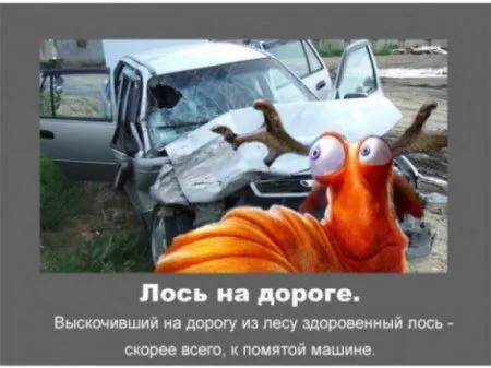 Автомобильные приметы Автомобильные приметы