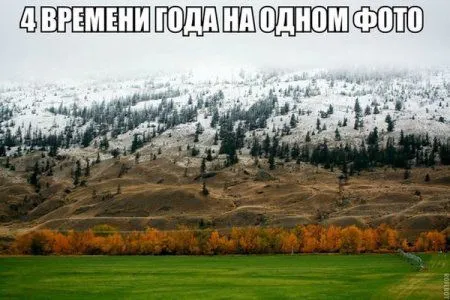 Микс позитива и мимишности :) Микс позитива и мимишности :)
