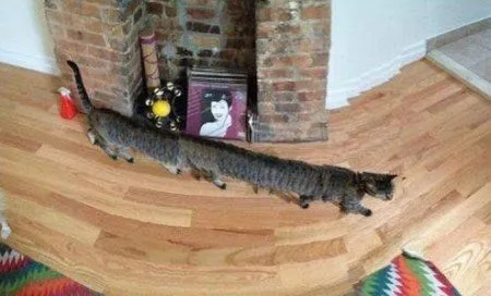 Фэйлы панорамного фото Фэйлы панорамного фото