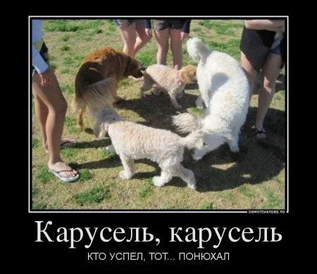Демки весенние))) Демки весенние)))
