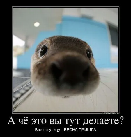 Демки весенние))) Демки весенние)))