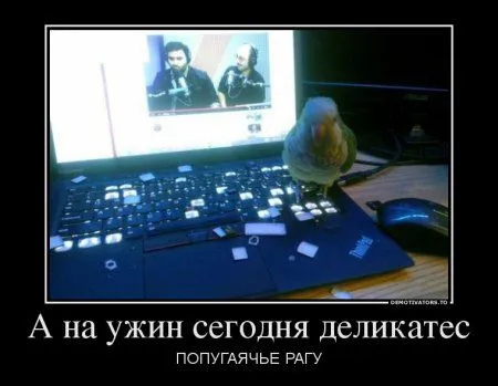 Демки весенние))) Демки весенние)))