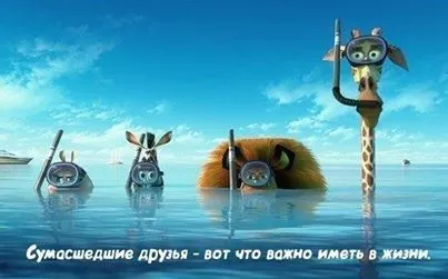 Цитаты в картинках, чтоб было весело