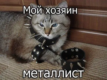 Музыка+приколы Музыка+приколы