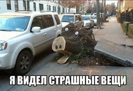 Юморные фото и не только