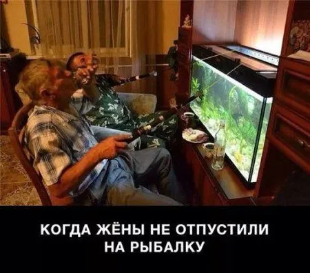 Это прикольные приколы, сам посмотри! Это прикольные приколы, сам посмотри!