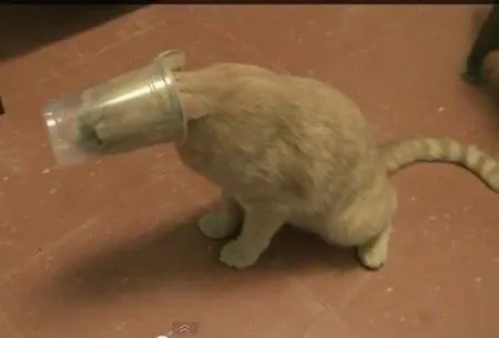 Это прикольные приколы, сам посмотри! Это прикольные приколы, сам посмотри!