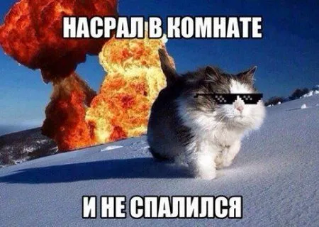 Это прикольные приколы, сам посмотри! Это прикольные приколы, сам посмотри!