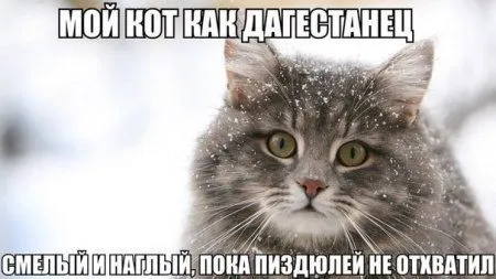 Это прикольные приколы, сам посмотри! Это прикольные приколы, сам посмотри!