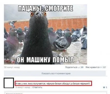 Хорошие фото приколы предвещают хорошую пятницу Хорошие фото приколы предвещают хорошую пятницу
